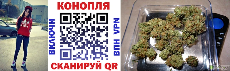 Конопля Кедровый